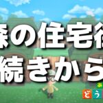 【あつ森】もりもり住宅街作り続きから