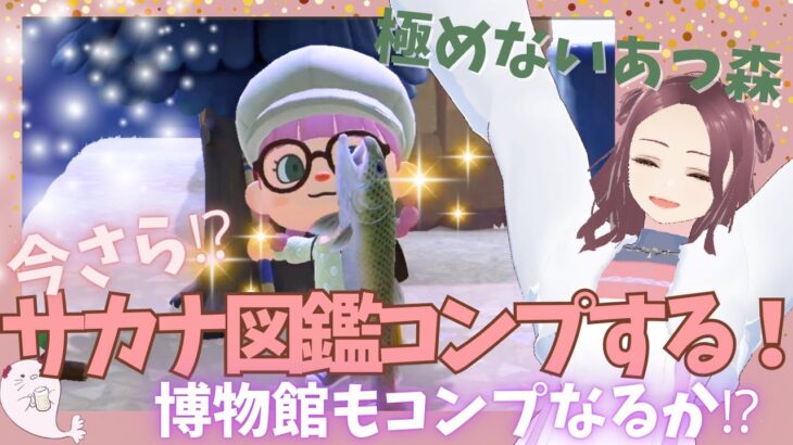 【極めないあつ森】今さら⁉サカナ図鑑コンプする！博物館もコンプなるか!?