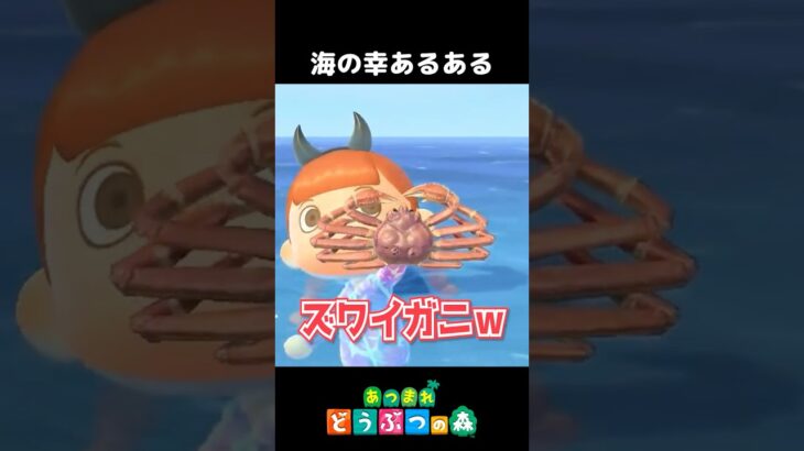 海の幸あるある🦀【あつ森】