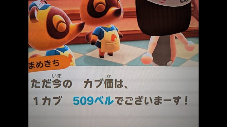 あつ森　カブ５０９誰でも参加可能！！