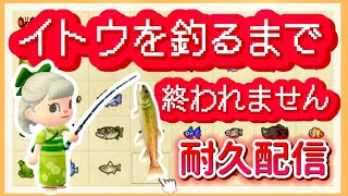 【あつ森】絶対イトウ釣るぞ～！