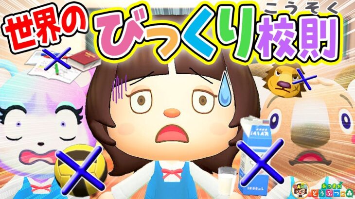 【あつ森】世界のヤバすぎる校則🌎日本では理解できない海外のちょっと変わった校則【あつまれどうぶつの森】