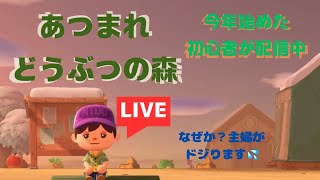 あつまれどうぶつの森　＃１５１　フランソワちゃん、お誕生日おめでとう