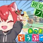 【あつまれどうぶつの森】あつ森やるよー！実はそんなにやったことない、、、なので楽しみ！目指せチャンネル登録者１４００人！