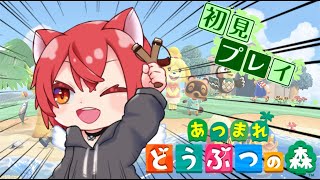 【あつまれどうぶつの森】あつ森やるよー！実はそんなにやったことない、、、なので楽しみ！目指せチャンネル登録者１４００人！