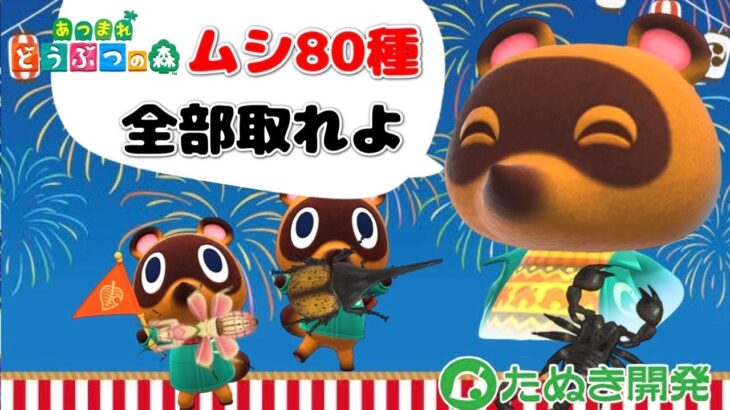 【あつ森】最初から初めてムシ図鑑コンプリートするまで終わらない放送