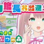 【あつまれ どうぶつの森】フータ来る？？初心者あつ森！