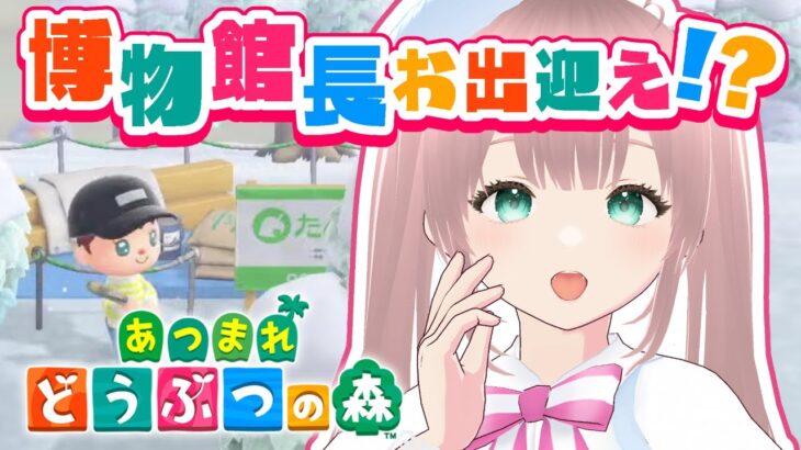 【あつまれ どうぶつの森】フータ来る？？初心者あつ森！