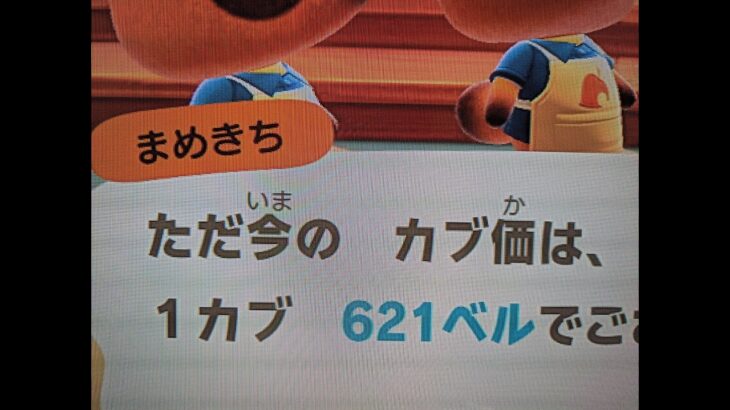 あつ森　カブ６２１誰でも参加可能！！