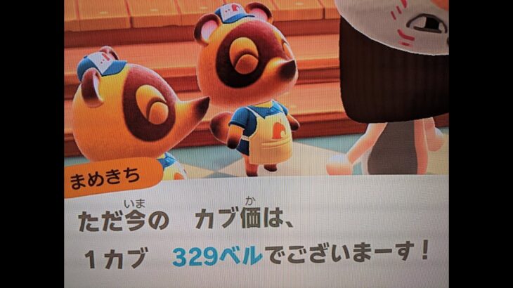 あつ森　カブ３２９誰でも参加可能！！