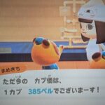 あつ森　カブ３８５誰でも参加可能！！