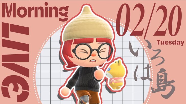 【あつ森 02/20】朝活配信!!☼雑談しながらToDoをこなす🌹いろは島｜#animalcrossing