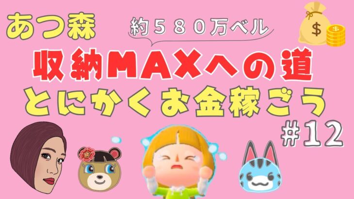 #12【あつ森】💰収納MAX目指してお金を稼ぐぞ！