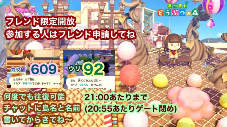 【あつ森】2025,2/22 カブ価609&ウリ92(21:00あたりまで) 【フレンド限定開放、参加する人はフレンド申請してね】