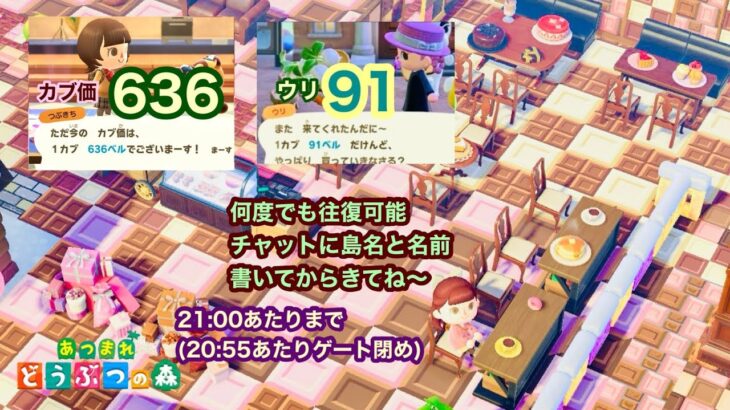 【あつ森】2025,2/8 カブ価636&ウリ91(21:00あたりまで)【チャットに島名と名前書いてからきてね〜】