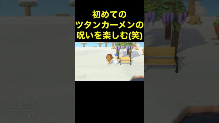 【ツタンカーメンの呪い(笑)あつ森#227】#shorts#switch#あつ森#あつまれどうぶつの森#ゲーム