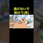 【助けてよ(笑)あつ森#231】#shorts#switch#あつ森#あつまれどうぶつの森#ゲーム