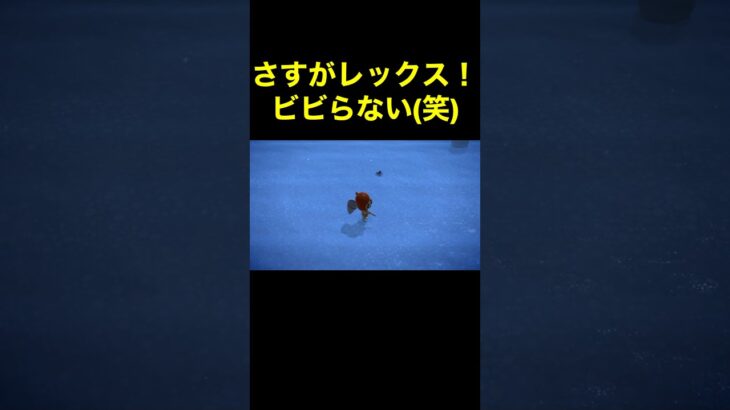 【無敵なレックス(笑)あつ森#232】#shorts#switch#あつ森#あつまれどうぶつの森#ゲーム