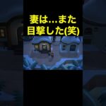 【目撃！(笑)あつ森#233】#shorts#switch#あつ森#あつまれどうぶつの森#ゲーム