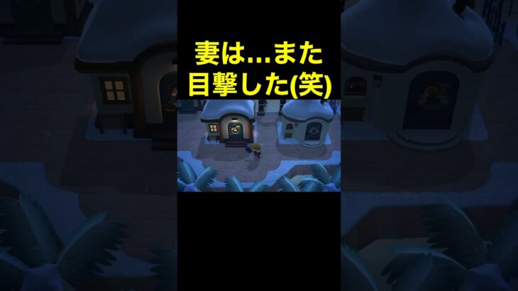 【目撃！(笑)あつ森#233】#shorts#switch#あつ森#あつまれどうぶつの森#ゲーム