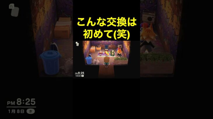 【同じ物(笑)あつ森#239】#shorts#switch#あつ森#あつまれどうぶつの森#ゲーム