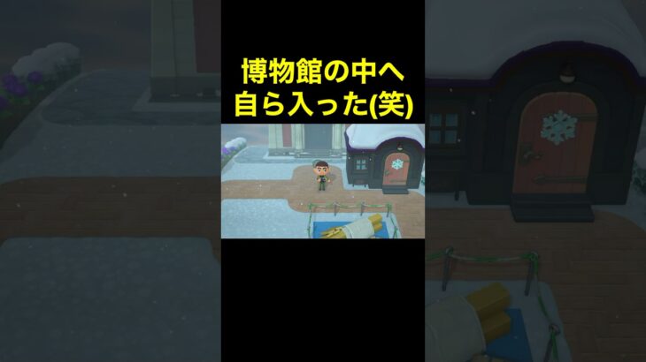 【自ら博物館へ(笑)あつ森#270】#shorts#switch#あつ森#あつまれどうぶつの森#ゲーム