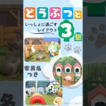 【あつ森】家具名付き どうぶつと過ごすレイアウト3選｜うさぎ園・子ブタ牧場・ドッグラン