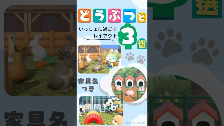 【あつ森】家具名付き どうぶつと過ごすレイアウト3選｜うさぎ園・子ブタ牧場・ドッグラン