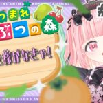 【#あつ森 】無人島生活57日目・夜【#あまねちゃん見てるちゅ 】