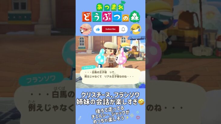 【あつ森】姉妹の会話が楽しすぎ🤣クリスチーヌ、フランソワって大好き😄 #どうぶつの森 #AnimalCrossing #ACNH #NintendoSwitch