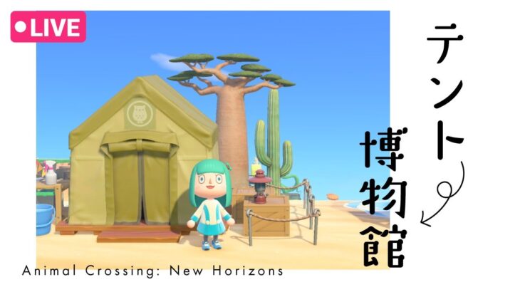 【あつ森】そろそろフータのテントを博物館にする【雑談OK】