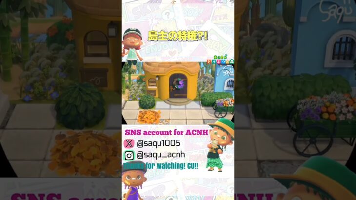 【島主の特権】#あつ森 #acnh #どうぶつの森 #animalcrossing #あつ森ショート #short #shortyoutube