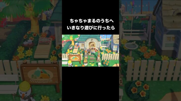 修羅場🐑 #あつ森 #あつまれどうぶつの森 #あつ森好きな人と繋がりたい #animalcrossing #おかめなっ島 #acnh #修羅場 #浮気 #ちゃちゃまる #コント #battle