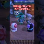 おじゃまむし #あつ森 #あつまれどうぶつの森 #あつ森好きな人と繋がりたい #animalcrossing #ゆめみ #おかめなっ島 #acnh #shorts #コント #ショート動画 #邪魔