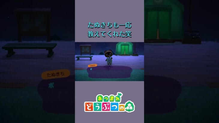 【あつ森】ついに放送でも‥#あつ森 #あつまれどうぶつの森 #shorts #animalcrossingnewhorizons #acnh #animalcrossing #cozygaming