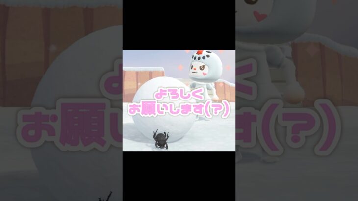 フンコロガシに雪だるま作ってもらおーう大作戦？！？！#あつ森 #どうぶつの森 #あつまれどうぶつの森 #どう森 #shortvideo #shorts #short