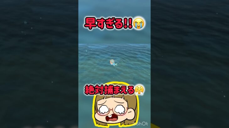 【あつ森】逃げ足早すぎる😭絶対捕まえる。#ともちんのゲーム部屋 #あつまれどうぶつの森 #あつ森 #switch #short #shorts #shortvideo