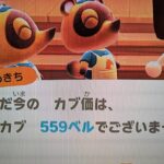 あつ森　カブ５５９誰でも参加可能！！