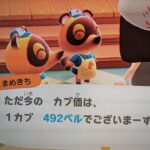 あつ森　カブ４９２誰でも参加可能！！