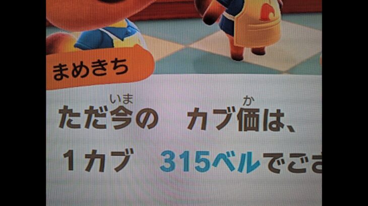 あつ森　カブ３１５誰でも参加可能！！