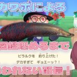 【 #あつ森  】図鑑を埋めるなら今だ！！虫と魚図鑑埋めるまで終われない配信！　天然カワボのあつまれどうぶつの森