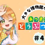 【あつ森】大きな博物館が出来上がった！？まったり進めるよ〜【あつまれどうぶつの森】