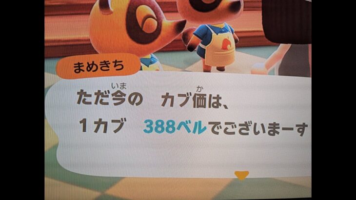 あつ森　カブ３８８誰でも参加可能！！