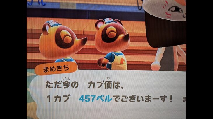 あつ森　カブ４５７誰でも参加可能！！