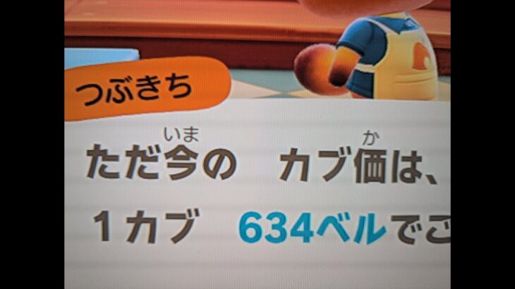 あつ森　カブ６３４誰でも参加可能！！