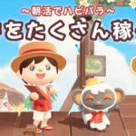 【あつ森】緊急ポキ稼ぎする！朝活ハピパラ配信！【あつまれ どうぶつの森】