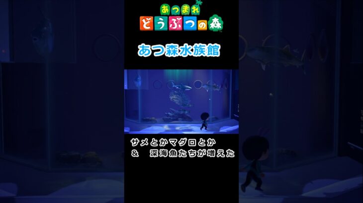 【あつ森】水族館って楽しいな2 #shorts #あつまれどうぶつの森 #あつ森#水族館