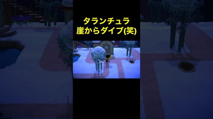 【タラちゃん崖からダイブ(笑)あつ森#276】#shorts#switch#あつ森#あつまれどうぶつの森#ゲーム