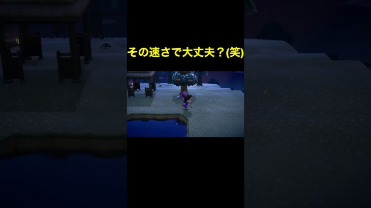 【大丈夫？(笑)あつ森#312】#shorts#switch#あつ森#あつまれどうぶつの森#ゲーム