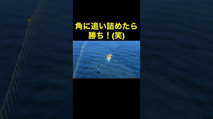 【角追いは勝ち！あつ森#318】#shorts#switch#あつ森#あつまれどうぶつの森#ゲーム